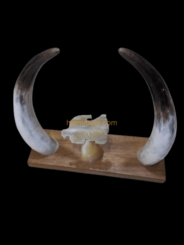 cow horn rwanda