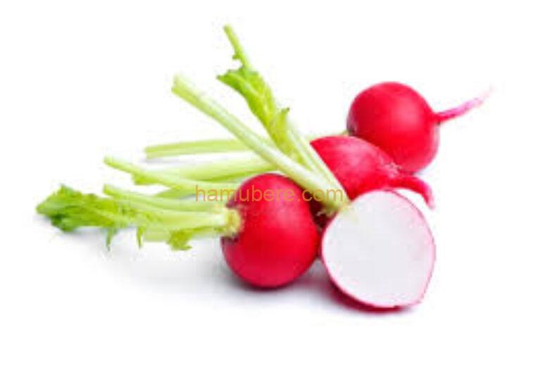 Radish /Bunch