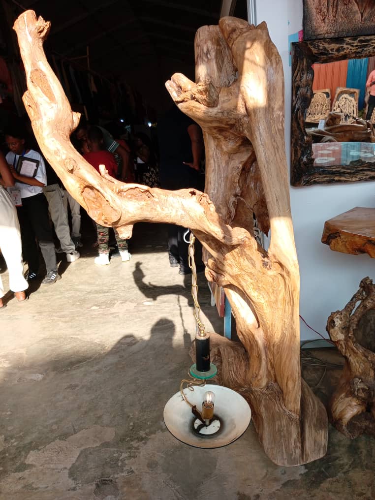 Itara rishingiye kubwiza bw’igiti Igiti gifite itara, ni urusobe rw’ibinyabuzima.