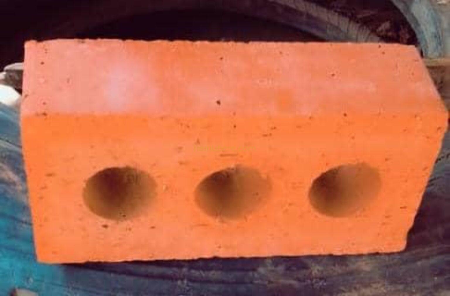 Porous bricks 6.3
