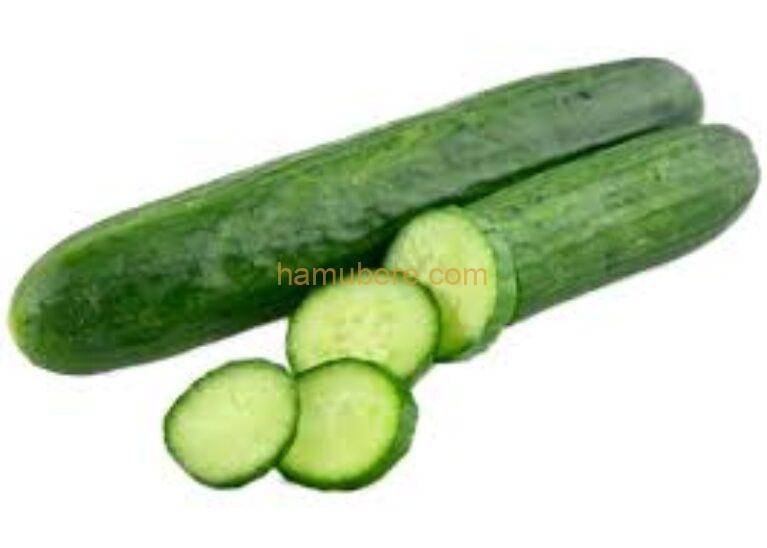 Fresh cucumber/ pieces
